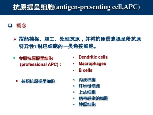 11_抗原提呈细胞与抗原的处理及提呈