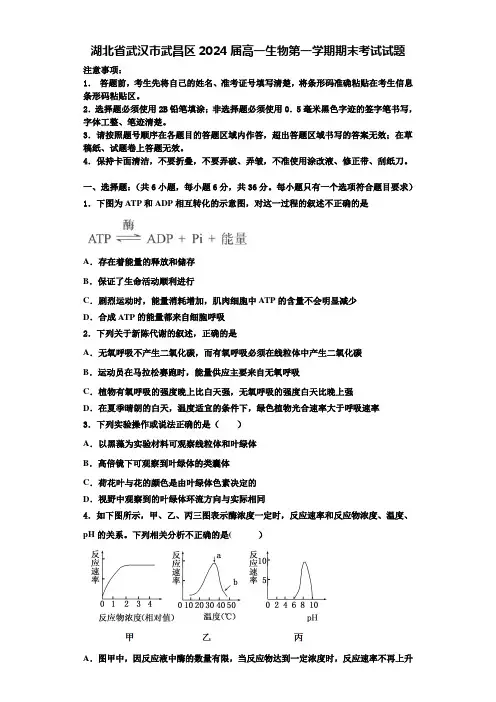 湖北省武汉市武昌区2024届高一生物第一学期期末考试试题含解析