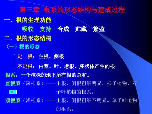 第三章根系的形态结构与建成过程