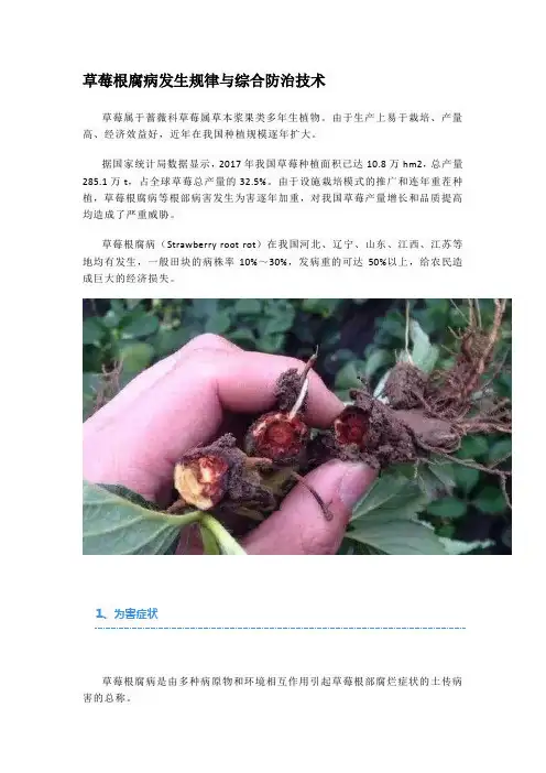 草莓根腐病发生规律与综合防治技术