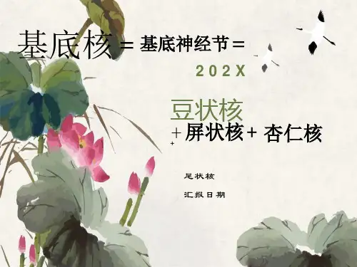 基底节区解剖位置关系图及临床