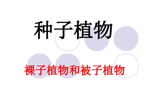 初中生物  种子植物16 人教版精品课件