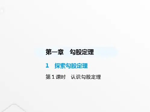 北师大版初中八年级数学上册第一章勾股定理1探索勾股定理第1课时认识勾股定理课件