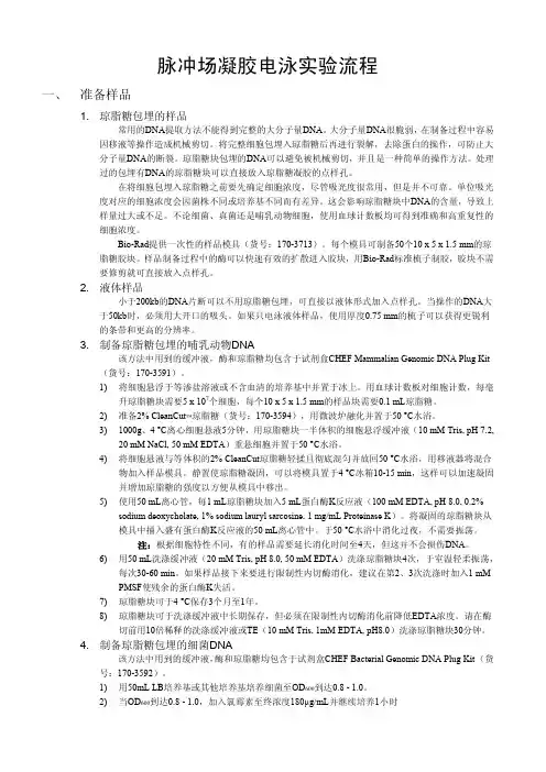 脉冲场凝胶电泳试验流程