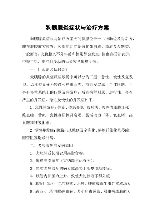 狗胰腺炎症状与治疗方案