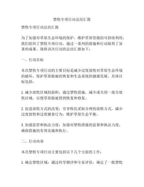 禁牧专项行动总结汇报