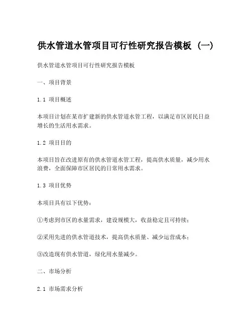 供水管道水管项目可行性研究报告模板 (一)