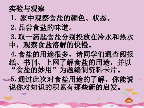 生活中常见的盐PPT课件44 人教版