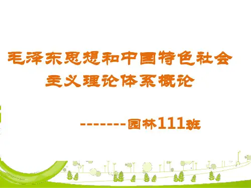 舌尖上的中国演讲ppt
