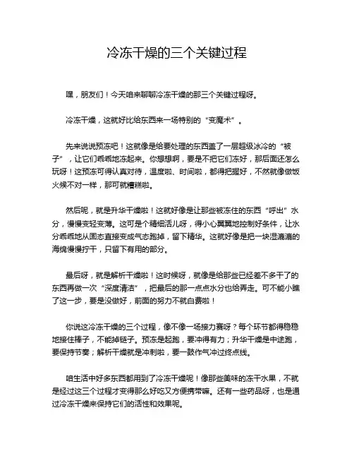 冷冻干燥的三个关键过程