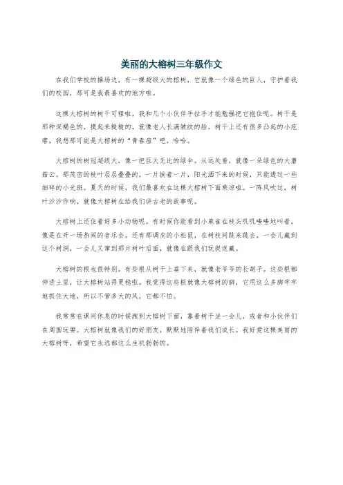 美丽的大榕树三年级作文