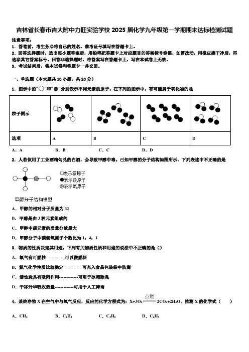 吉林省长春市吉大附中力旺实验学校2025届化学九年级第一学期期末达标检测试题含解析