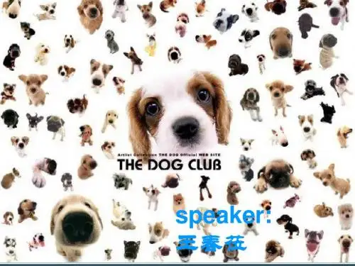 狗狗的_英文PPT