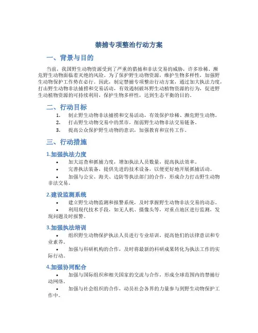 禁捕专项整治行动方案