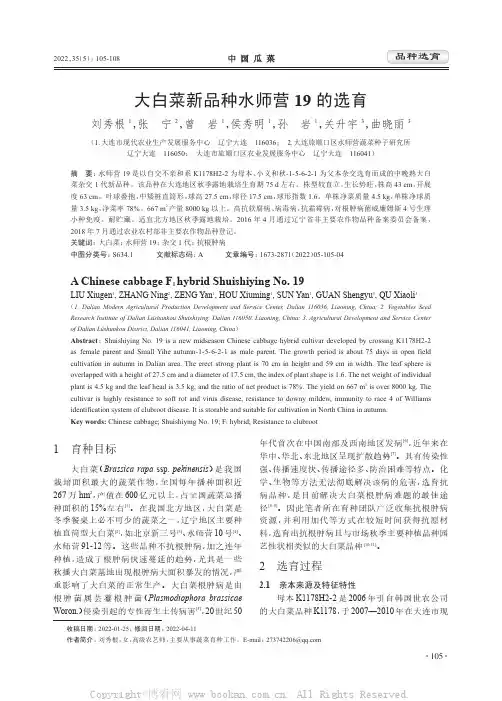 大白菜新品种水师营19的选育