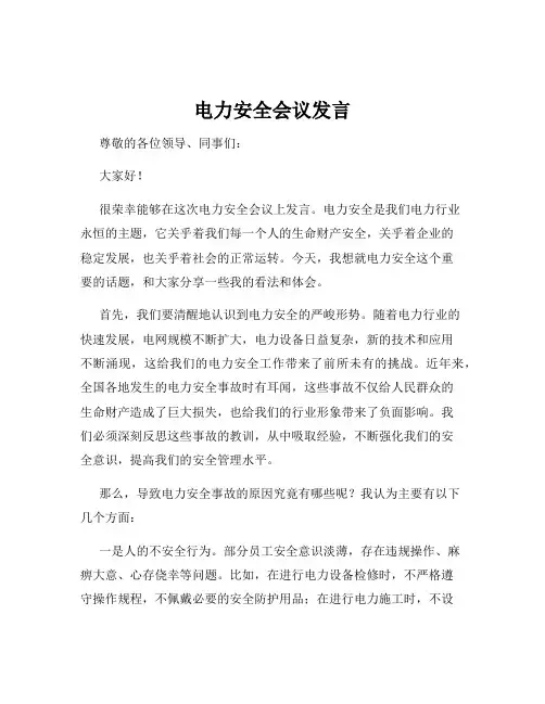 电力安全会议发言