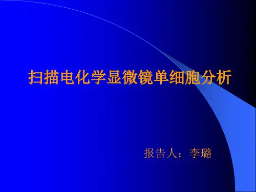 扫描电化学显微镜单细胞分析