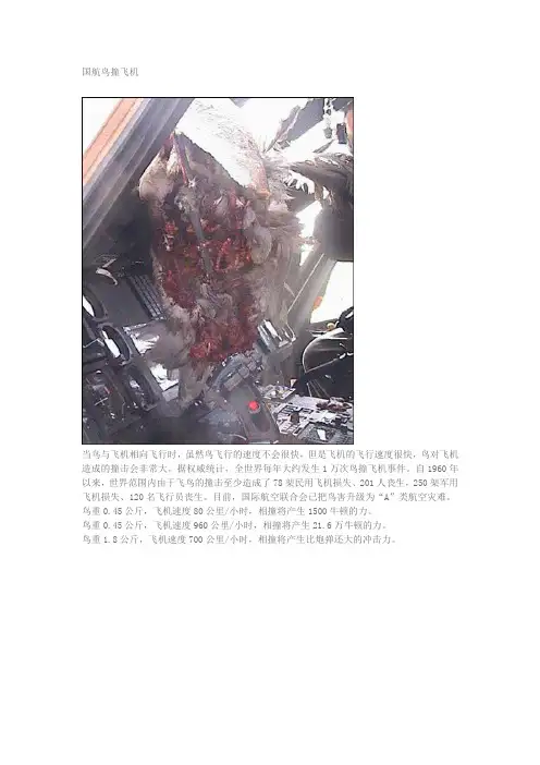 国航鸟撞飞机