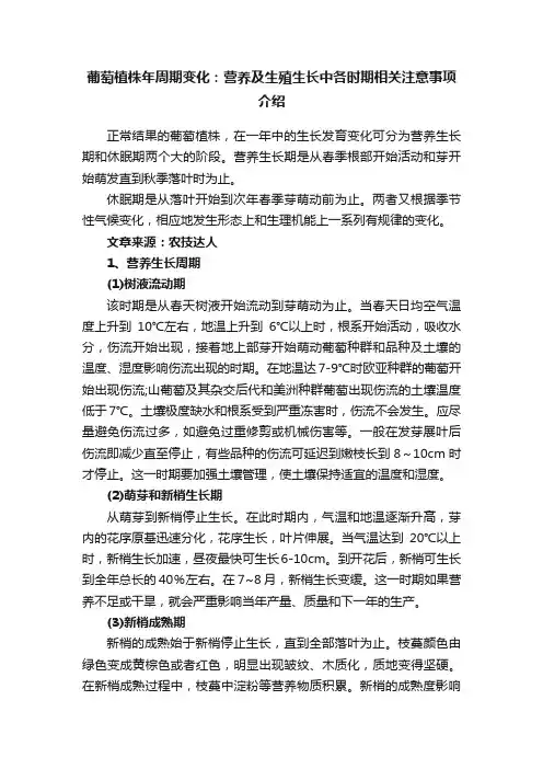 葡萄植株年周期变化：营养及生殖生长中各时期相关注意事项介绍