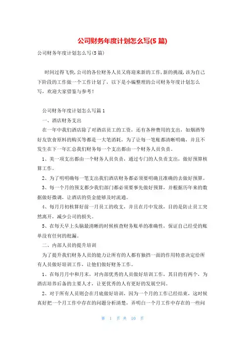 公司财务年度计划怎么写(5篇)