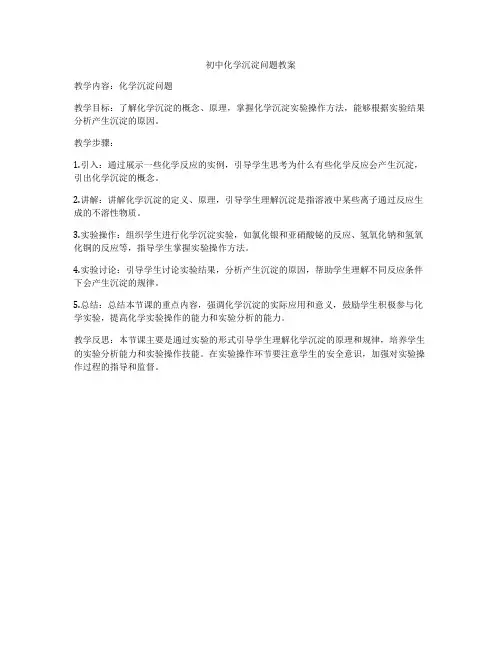 初中化学沉淀问题教案