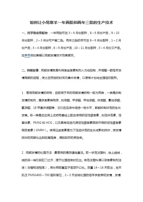 如何让小尾寒羊一年两胎和两年三胎的生产技术