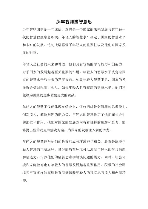 少年智则国智意思