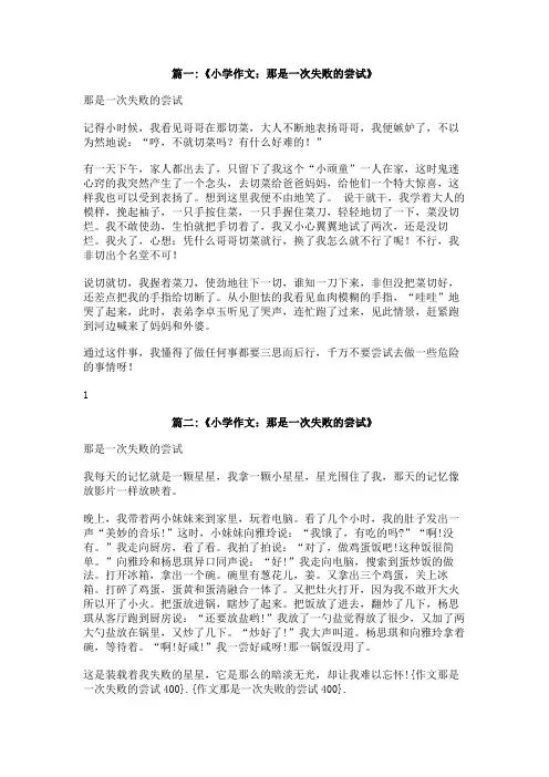作文那是一次失败的尝试400