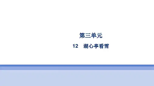 九年级语文上册第12课《湖心亭看雪》习题课件
