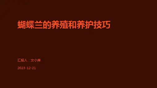 蝴蝶兰的养殖和养护技巧