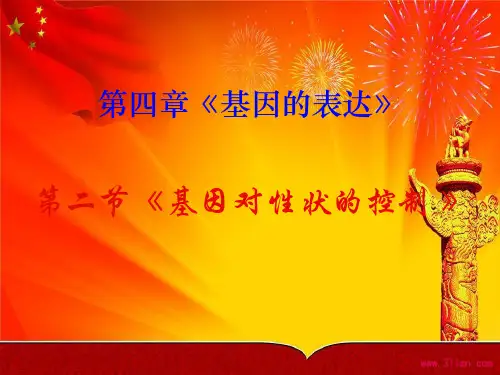 人教版高一生物必修二 基因对性状的控制 PPT课件
