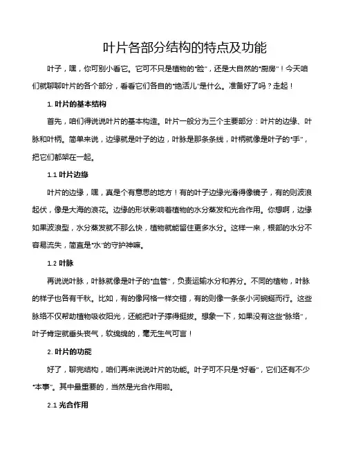 叶片各部分结构的特点及功能