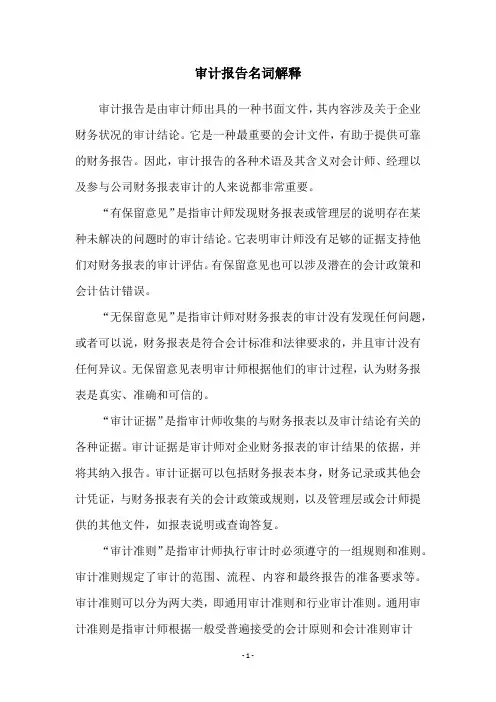 审计报告名词解释