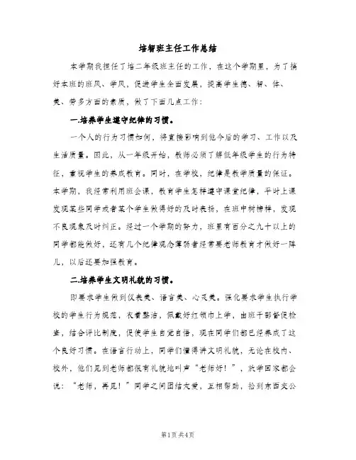 培智班主任工作总结（2篇）