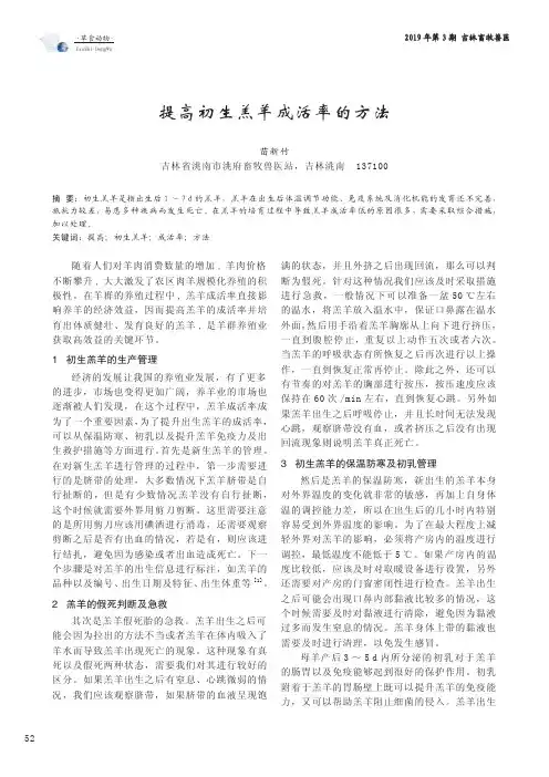 提高初生羔羊成活率的方法