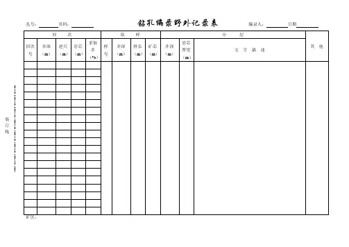 钻孔编录野外记录表