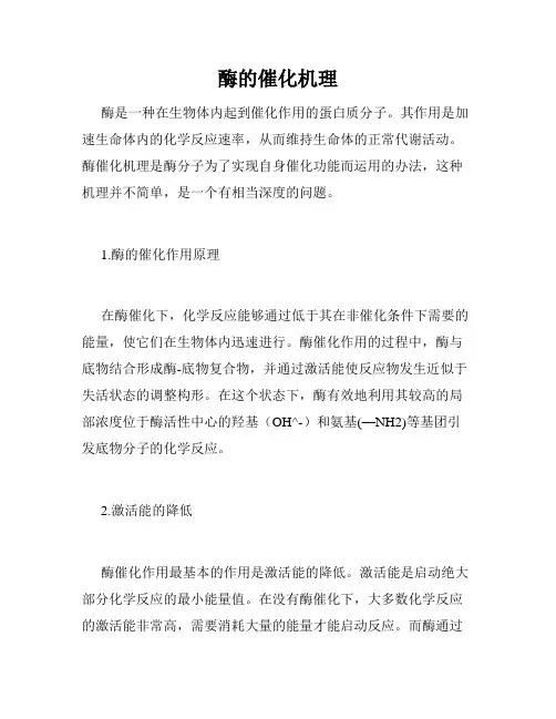 酶的催化机理