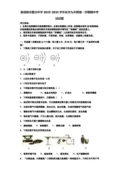 景德镇市重点中学2023-2024学年化学九年级第一学期期中考试试题含解析
