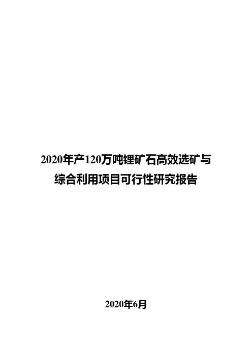 2020年产120万吨锂矿石高效选矿与综合利用项目可行性研究报告