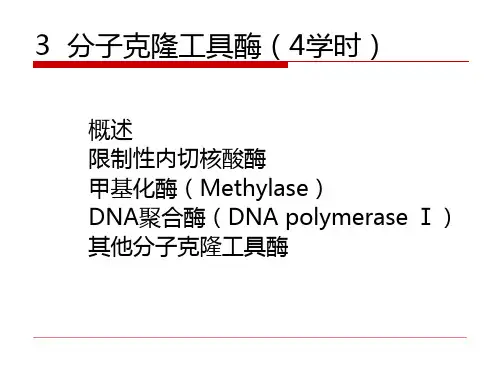 第三章 分子克隆工具酶