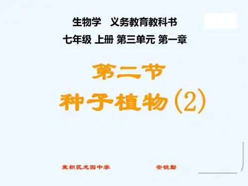 种子植物 第二课时