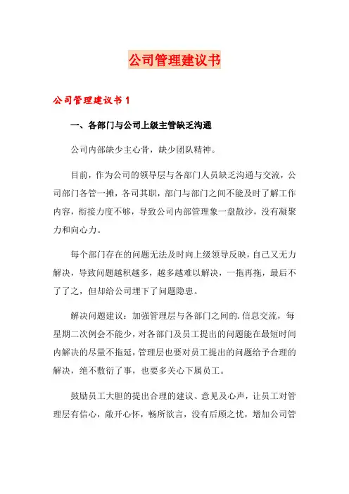 公司管理建议书