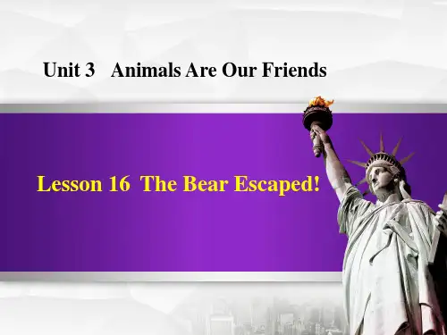 《The Bear Escaped!》Animals Are Our Friends PPT赏析