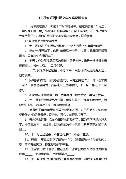 12月你好图片配文字文案说说大全
