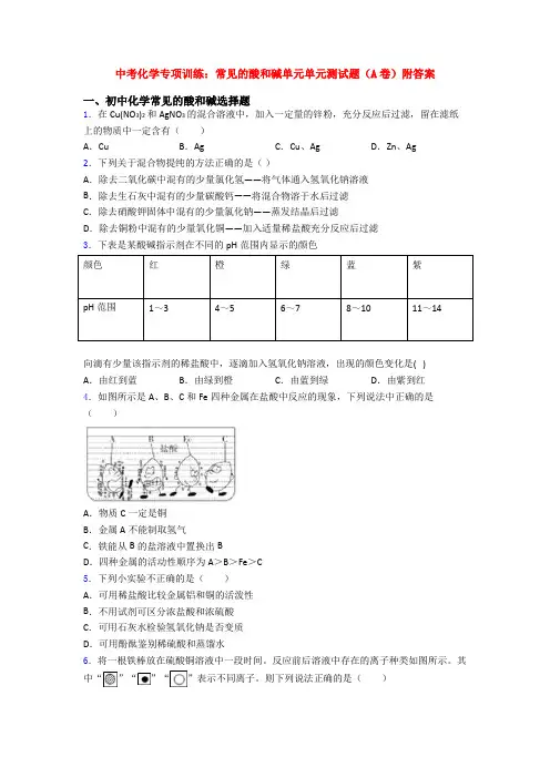 中考化学专项训练：常见的酸和碱单元单元测试题(A卷)附答案