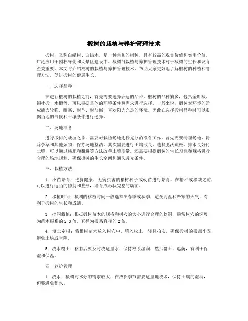 椴树的栽植与养护管理技术