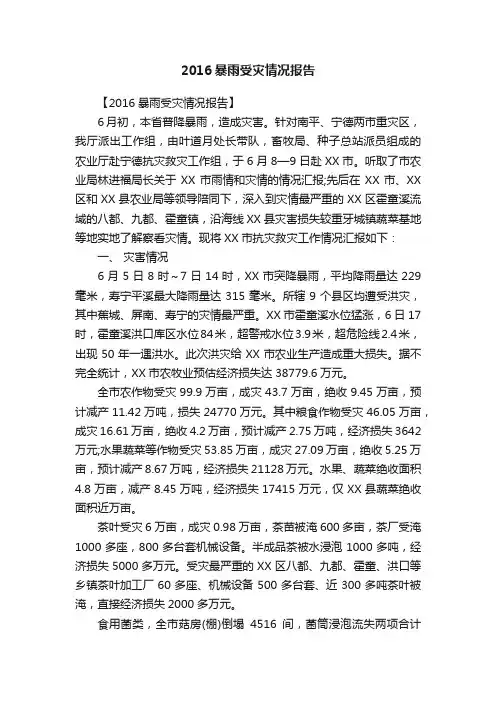 2016暴雨受灾情况报告