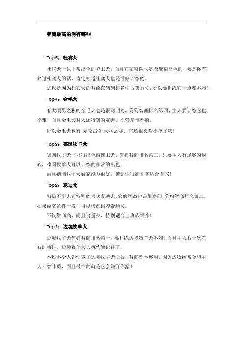 智商最高的狗有哪些