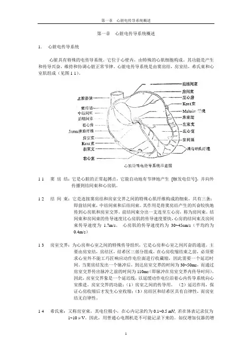 心脏电传导系统概述