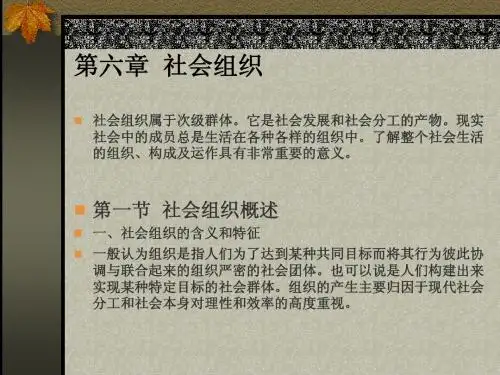 第六章  社会组织